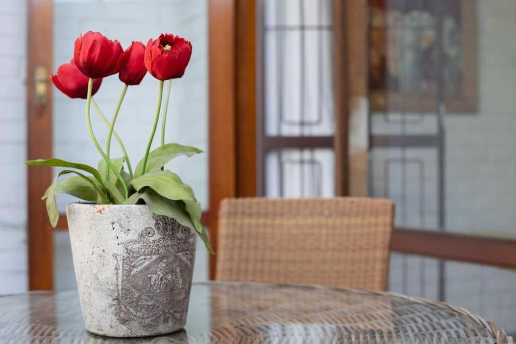 Apartment Your Own Space In The Leafy Cape